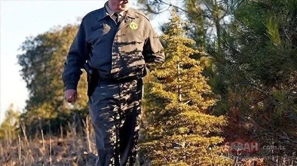 Tarım ve Orman Bakanlığı personel alımı 2022 başvuru nasıl yapılır? Tarım  ve Orman Bakanlığı personel alımı başvuru şartları ve tarihleri - Galeri -  Yaşam
