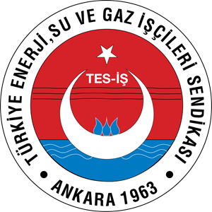 Tes-İş, Devlet Su İşlerinde grev ilan etti